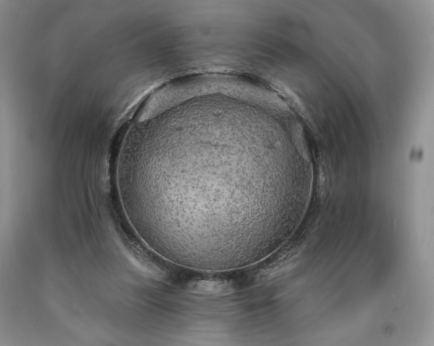 X0000090440251200707201259