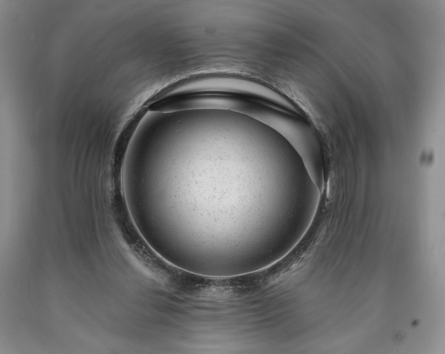 X0000090440252200707201259