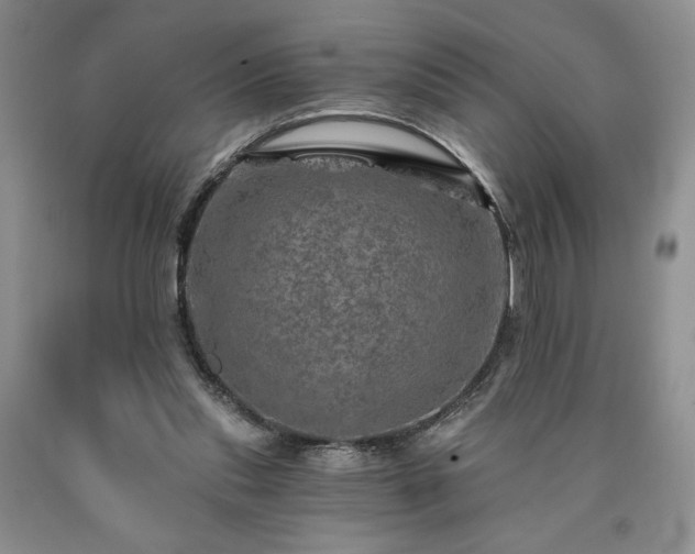 X0000090440253200707201259