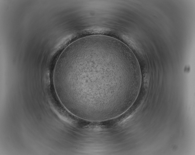 X0000090440254200707201259