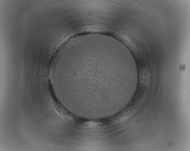 X0000090440255200707201259