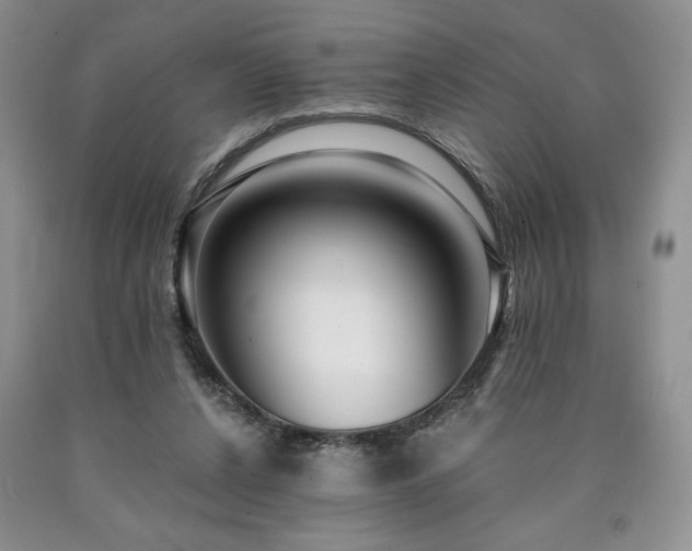 X0000090440256200707201259