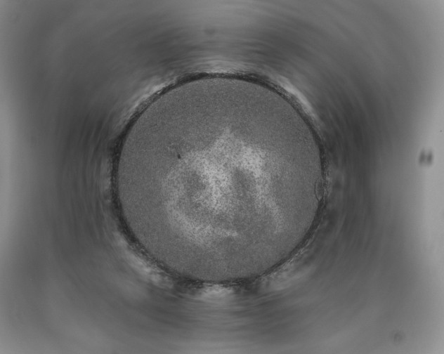 X0000090440257200707201259