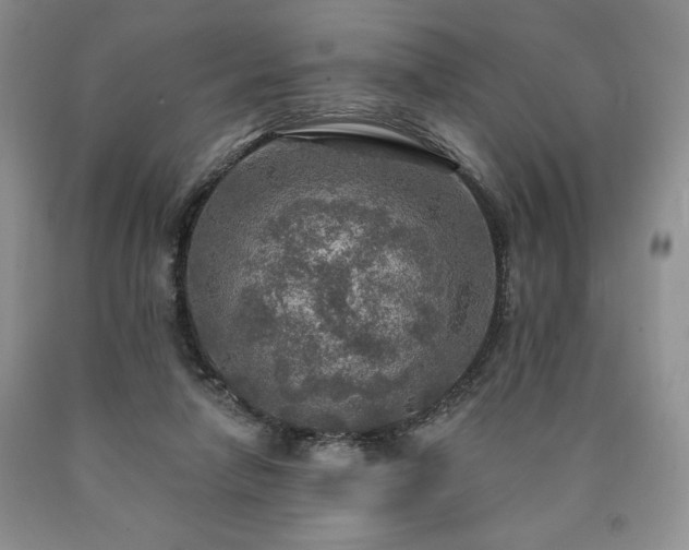 X0000090440258200707201259