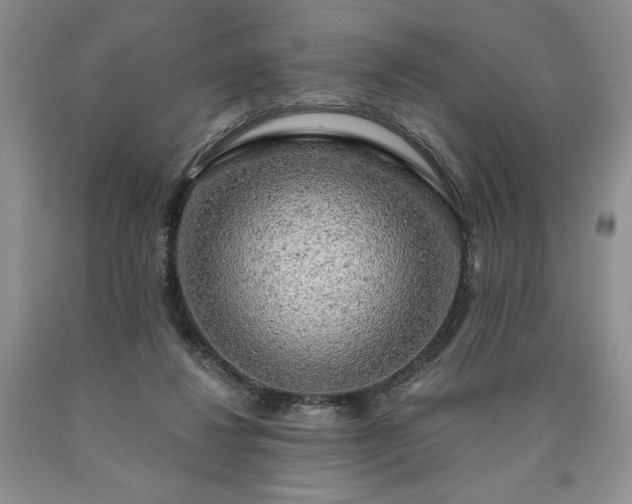 X0000090440260200707201259