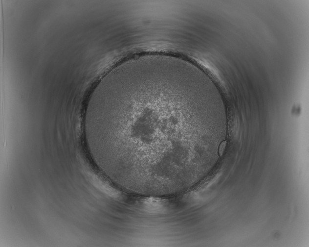 X0000090440261200707201259