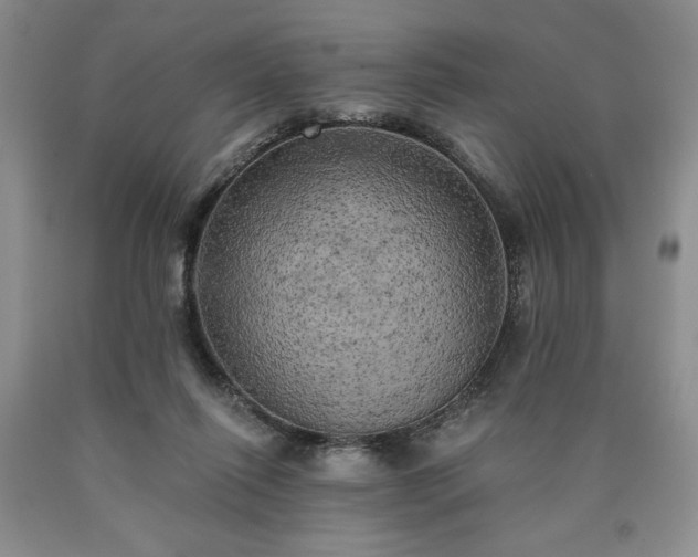 X0000090440262200707201259