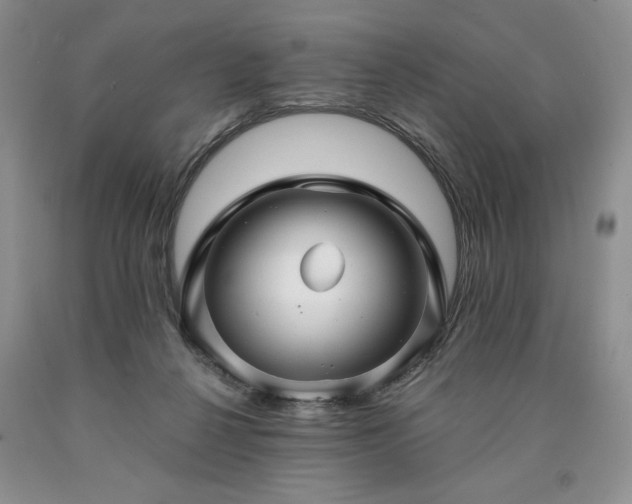 X0000090440264200707201259