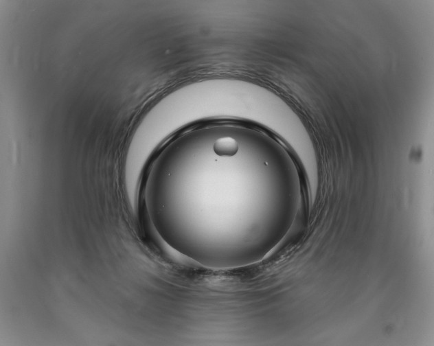 X0000090440268200707201259