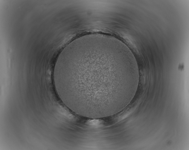 X0000090440269200707201259