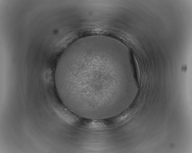 X0000090440270200707201259