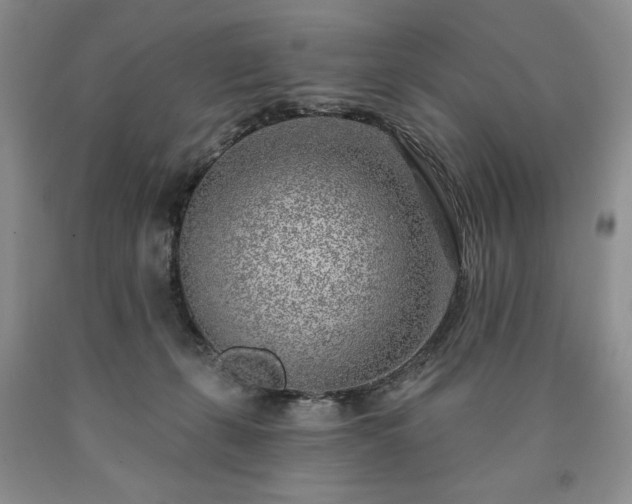 X0000090440271200707201259