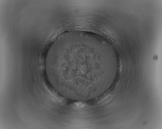 X0000090440272200707201259