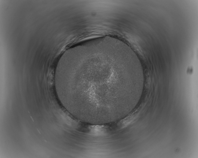 X0000090440273200707201259