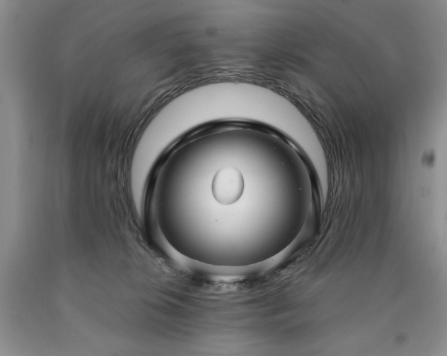 X0000090440276200707201259