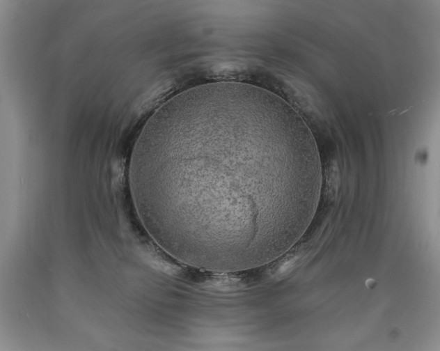 X0000090440278200707201259