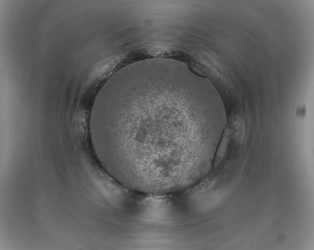 X0000090440280200707201259