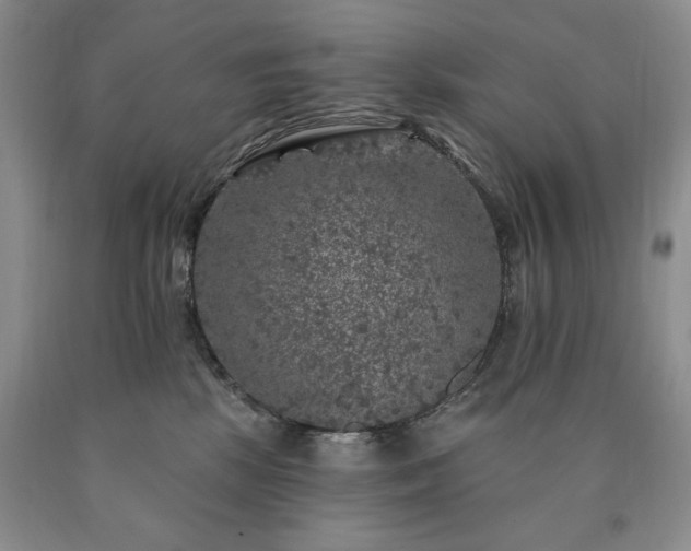 X0000090440281200707201259