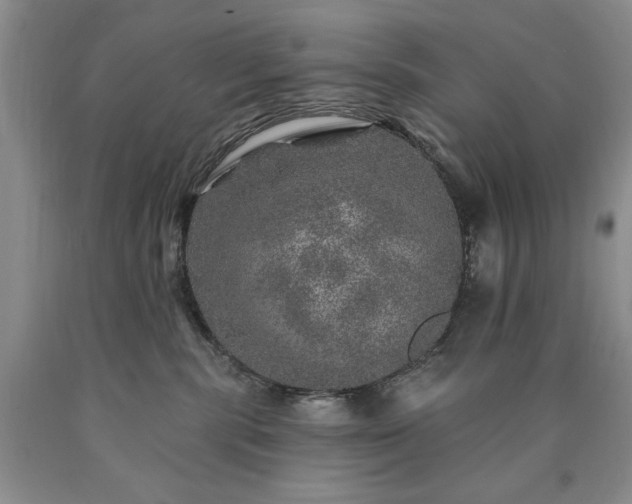 X0000090440283200707201259