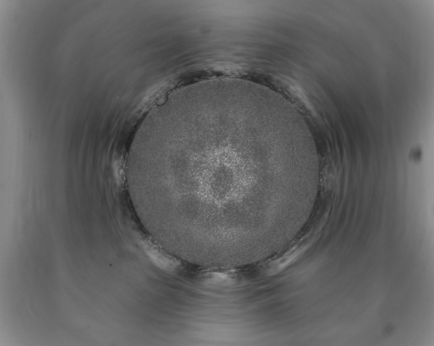 X0000090440285200707201259