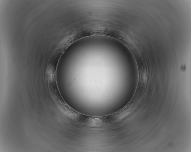 X0000090440287200707201259