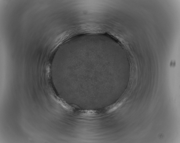 X0000090440288200707201259