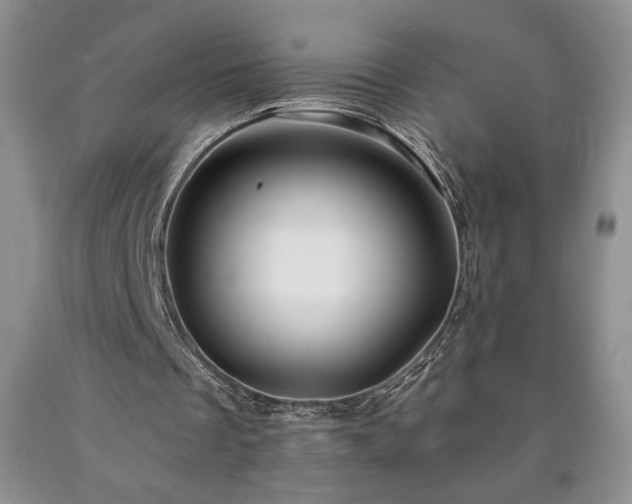 X0000090440289200707201259