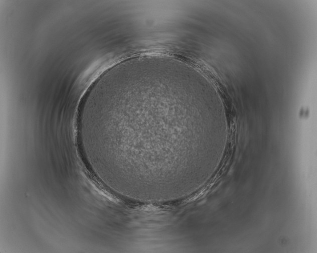 X0000090440290200707201259