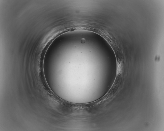 X0000090440291200707201259