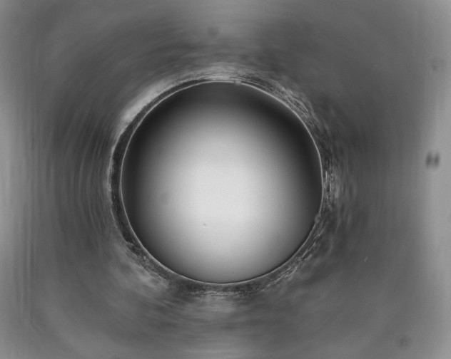 X0000090440292200707201259