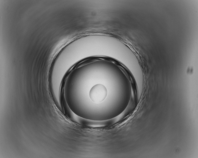 X0000090440293200707201259