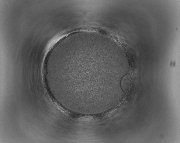 X0000090440294200707201259