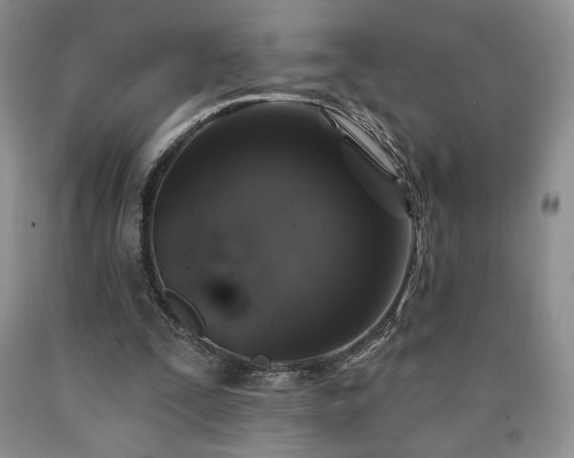 X0000090440295200707201259