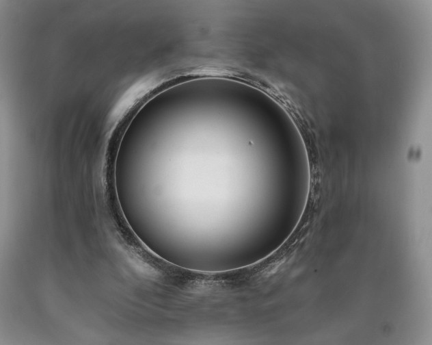 X0000090440296200707201259