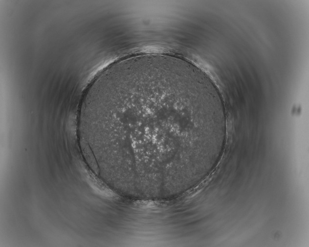 X0000090440297200707201259