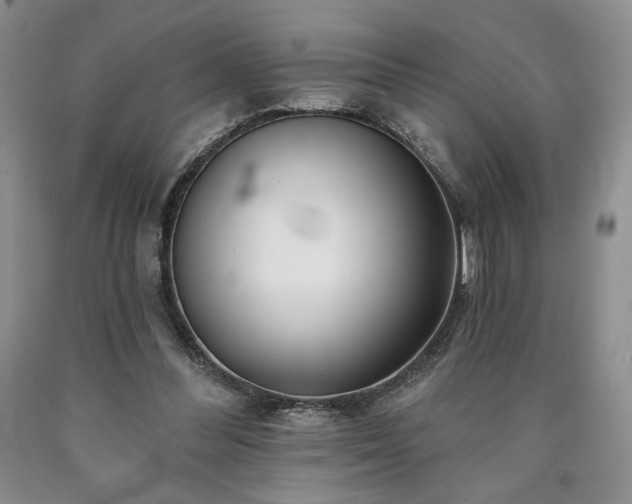 X0000090440300200707201259