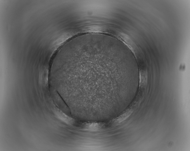 X0000090440301200707201258