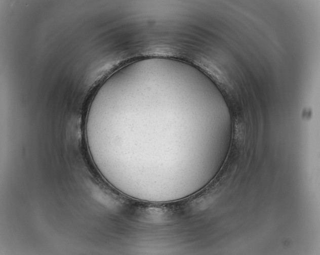 X0000090440302200707201258