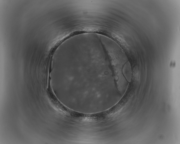 X0000090440303200707201258