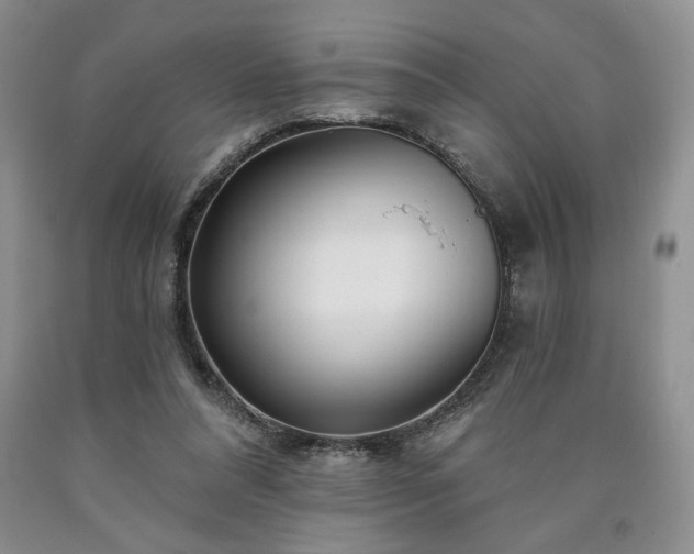 X0000090440304200707201258