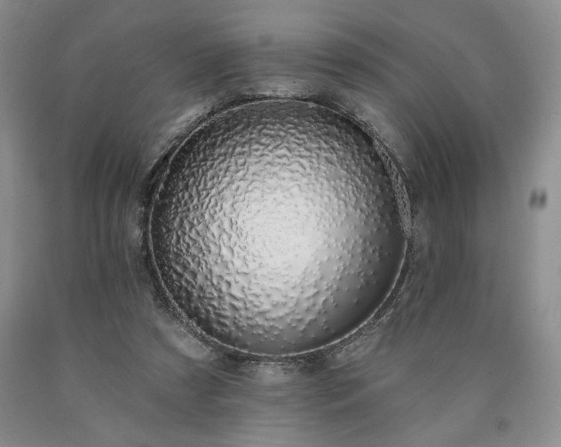 X0000090440305200707201258