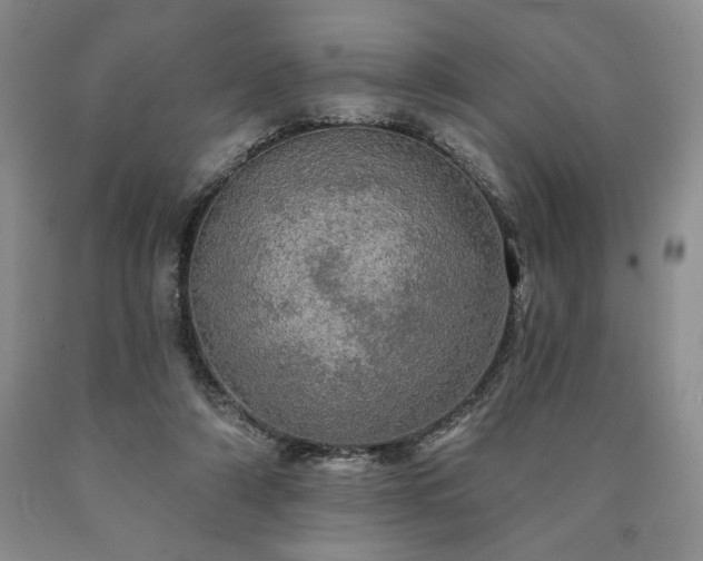 X0000090440306200707201258