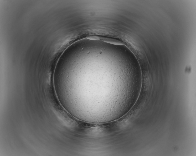 X0000090440310200707201258