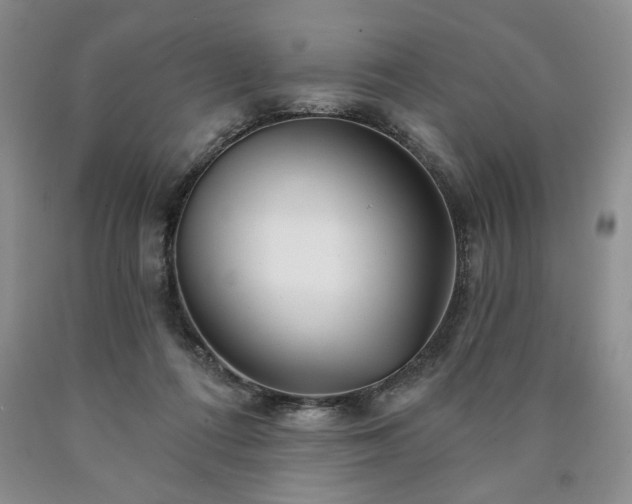 X0000090440312200707201258