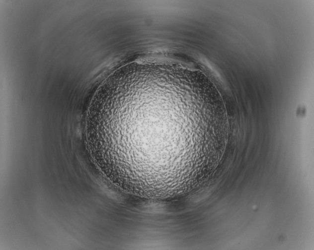 X0000090440313200707201258