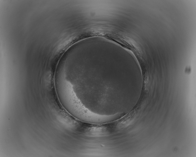 X0000090440314200707201258