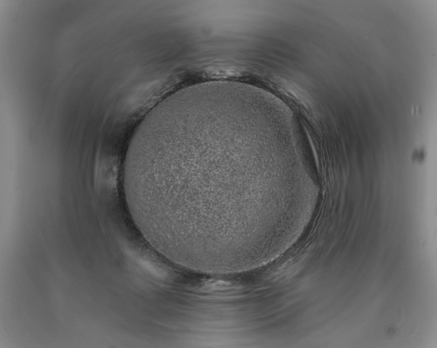 X0000090440315200707201258