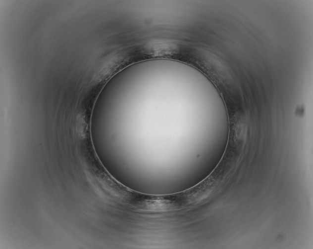 X0000090440316200707201258