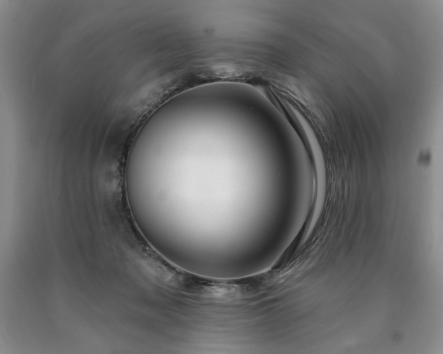 X0000090440317200707201258