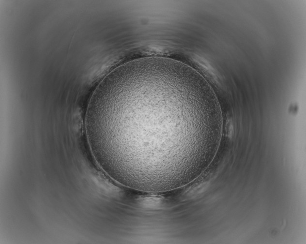 X0000090440318200707201258